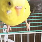 ちくわさんのプロフィール画像