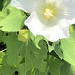 ゆうさんのプロフィール画像