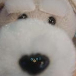 りさんのプロフィール画像