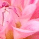 はなさんのプロフィール画像