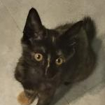 なおさんのプロフィール画像