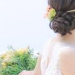 めぐらいおんさんのプロフィール画像