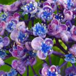 にきにきさんのプロフィール画像