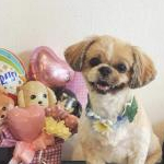 kanakoさんのプロフィール画像