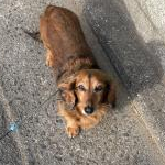 宇治金時さんのプロフィール画像