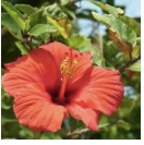 rikiさんのプロフィール画像