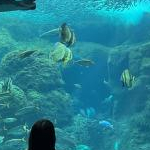 おもちちゃんさんのプロフィール画像