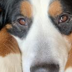 しろもちさんのプロフィール画像