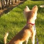 ママちゃんですさんのプロフィール画像