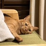 コーヒー大好きさんのプロフィール画像