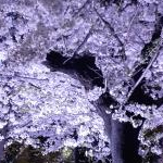 りょうりゅうさんさんのプロフィール画像