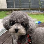 raiさんのプロフィール画像