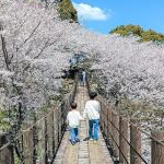 みどりさんのプロフィール画像