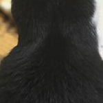 あずちゃんさんのプロフィール画像