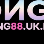 hong88uknetさんのプロフィール画像