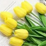 ももハピさんのプロフィール画像