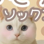 seikoさんのプロフィール画像