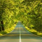 phuchinh03さんのプロフィール画像