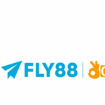 fly88deal