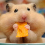 かわいい姉妹ママ