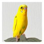 ミルさんのプロフィール画像