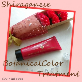 簡単・ツヤ髪　シラガネーゼボタニカルカラートリートメントの商品画像