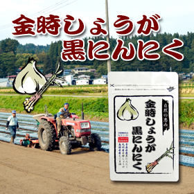 「金時しょうが黒にんにく（有限会社いいもの生活）」の商品画像