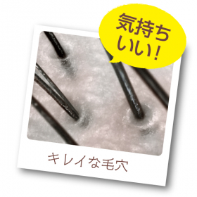 「植物生まれのオレンジ涼やか地肌シャンプー（株式会社石澤研究所）」の商品画像の4枚目