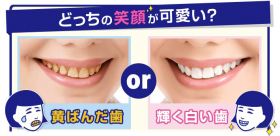 「歯磨撫子　重曹つるつるハミガキ（株式会社石澤研究所）」の商品画像の3枚目
