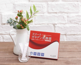 スマートガネデン乳酸菌の商品画像