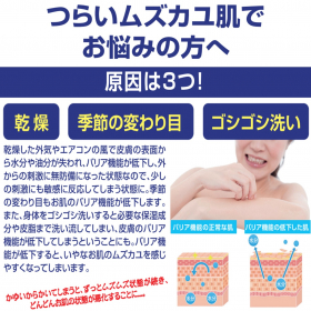 「アレルジーナNeo　泡ボディソープ（株式会社マックス）」の商品画像の2枚目