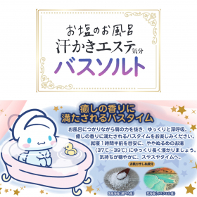 「汗かきエステ気分　スリープ＆ナイト（株式会社マックス）」の商品画像の3枚目