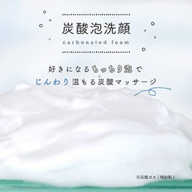 「無添加 炭酸泡洗顔フォーム 150g（株式会社マックス）」の商品画像の3枚目