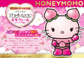 「汗かきエステ気分　モモヴェール（株式会社マックス）」の商品画像の2枚目