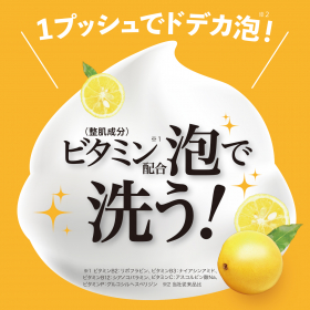 「泡の洗顔料 Vita Whip ビタホイップ 300ml（株式会社マックス）」の商品画像の2枚目