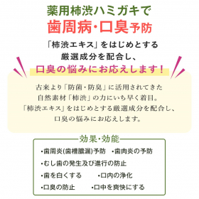 「柿のさち KnS 薬用柿渋ハミガキ 100g（株式会社マックス）」の商品画像の2枚目