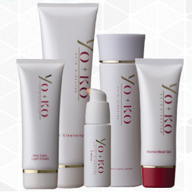 「YOKO コンプリートセット（株式会社粘土サイエンス）」の商品画像