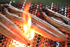 「うなぎの宝庫・長崎諫早！伝統の&ldquo;諫早焼&rdquo;で焼きあげた&ldquo;九州産&rdquo;うなぎの蒲焼（九州ムラコレ市場）」の商品画像