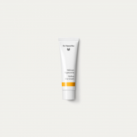 「Dr.ハウシュカ メリッサデイクリーム30mL（インターナショナルコスメティックス株式会社）」の商品画像
