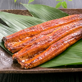 「熊本産　甲佐うなぎ（わくわく倶楽部株式会社）」の商品画像