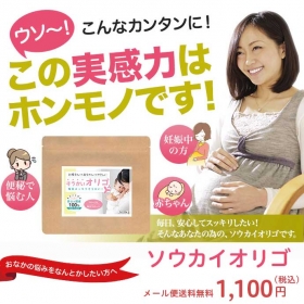 「そうかいオリゴ　200g1袋（BeGarden～ビー・ガーデン～）」の商品画像