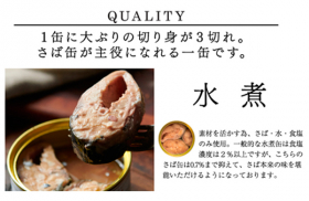「さば缶お試しセット4缶セット（水煮4缶）（モンマルシェ株式会社）」の商品画像の2枚目