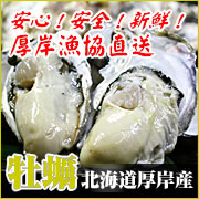 「厚岸漁協直送！殻かき（生食用）　Lサイズ10個（北海道厚岸（あっけし）漁業協同組合直売店　エーウロコ）」の商品画像