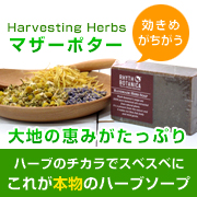 Harvesting Herbs マザーポターの商品画像