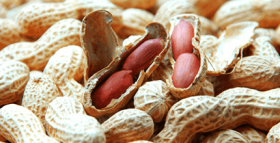 「伊江島小麦 全粒粉ビスコッティ（いえじま家族）」の商品画像の3枚目