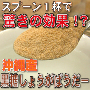 【匠の味】 沖縄産 しょうがぱうだー 200ｇの商品画像