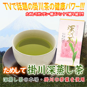 ためして掛川茶 100g&times;１０個入りの商品画像