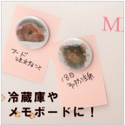 お気に入り写真で作る缶バッジの口コミ（クチコミ）情報の商品写真