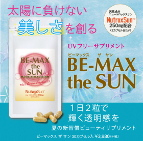 「BE-MAX  the  SUN（ザ・サン）（株式会社ライフ・マックス）」の商品画像の2枚目