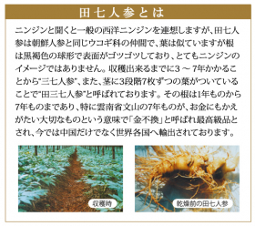 「銀座元気がお届けする大自然の有機パワー「100％田七人参」（株式会社ライフ・マックス）」の商品画像の4枚目
